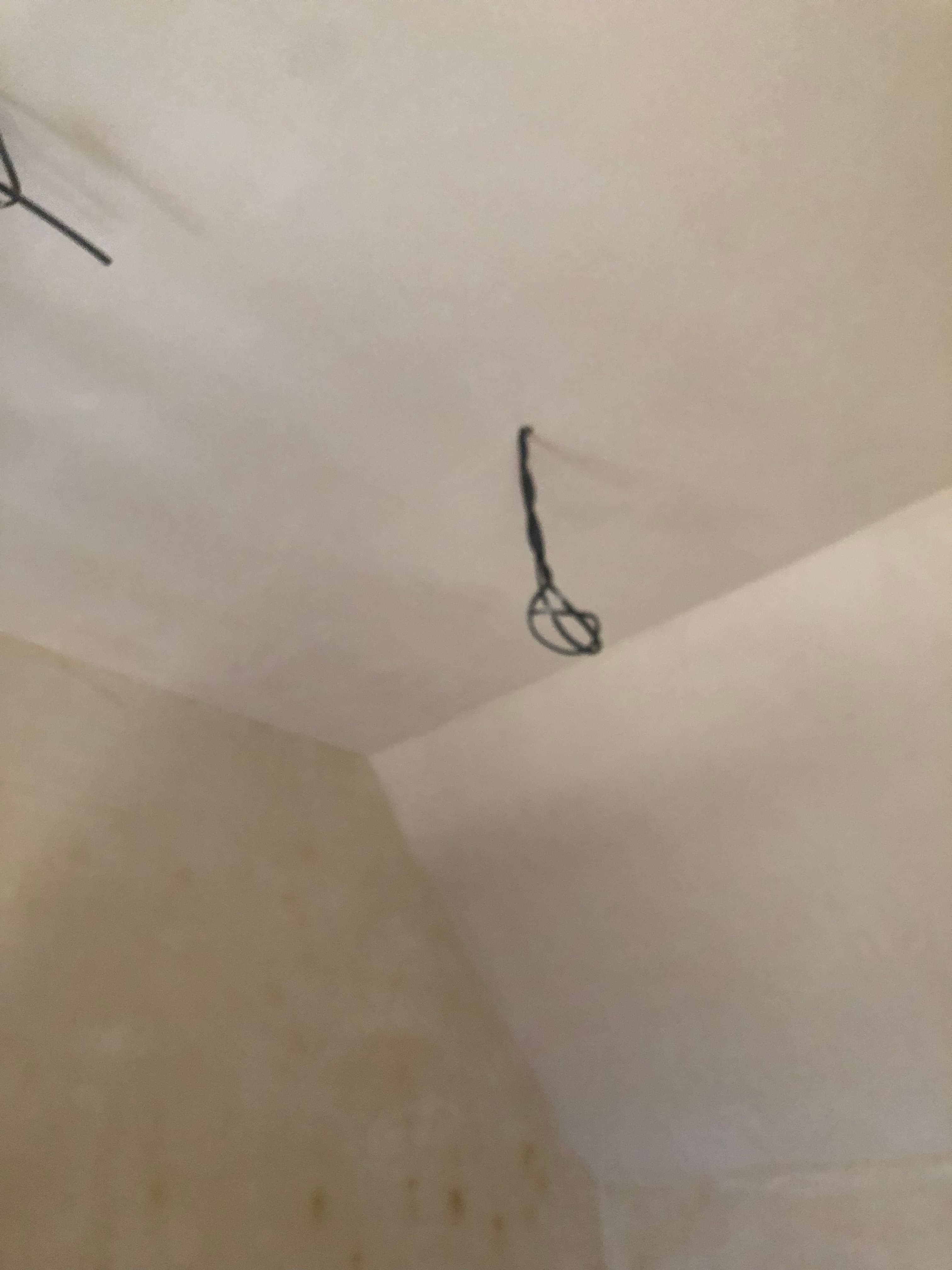 Internal lime plastering - Image 31