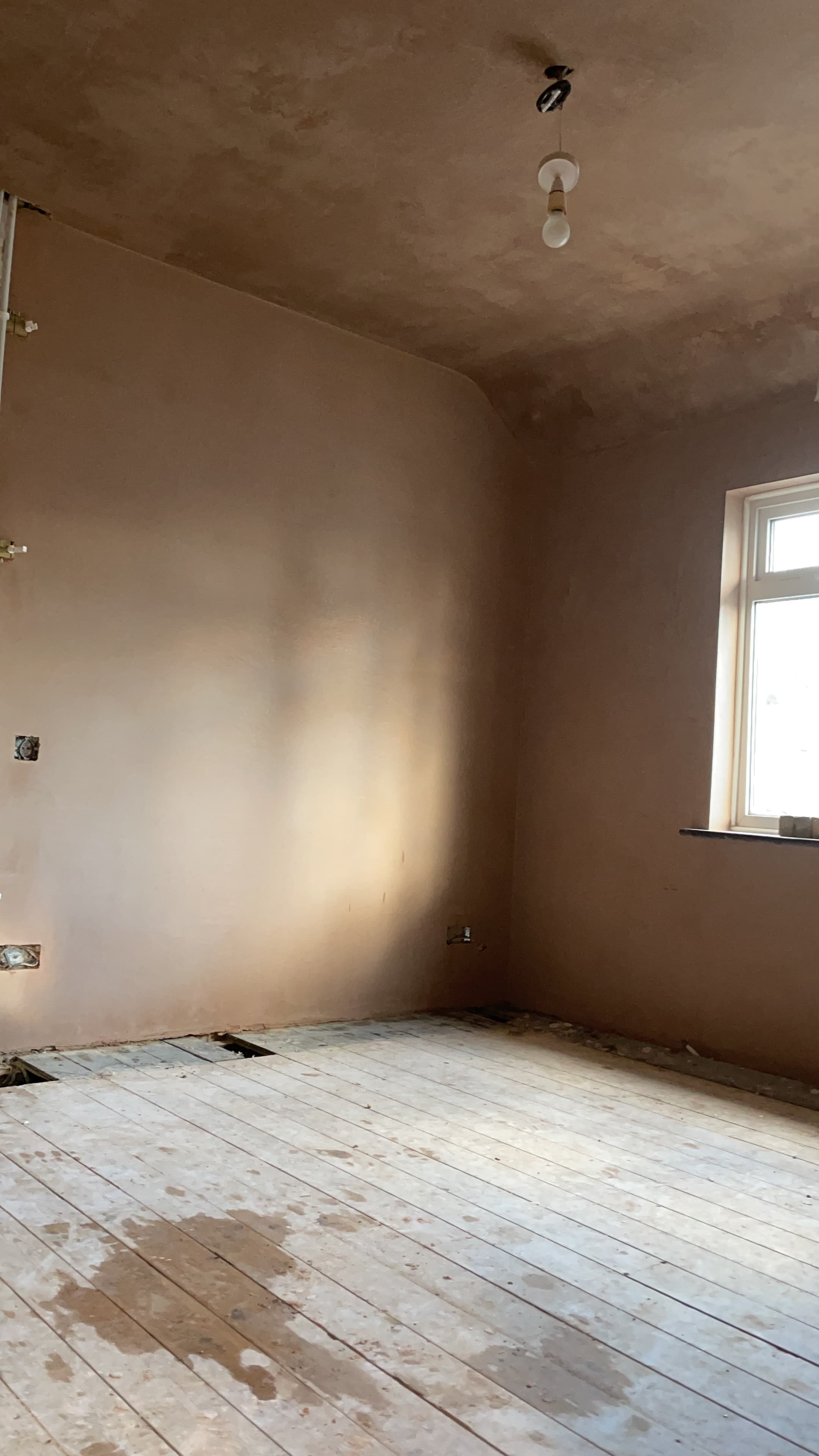 Skimming walls and ceilings - Image 11