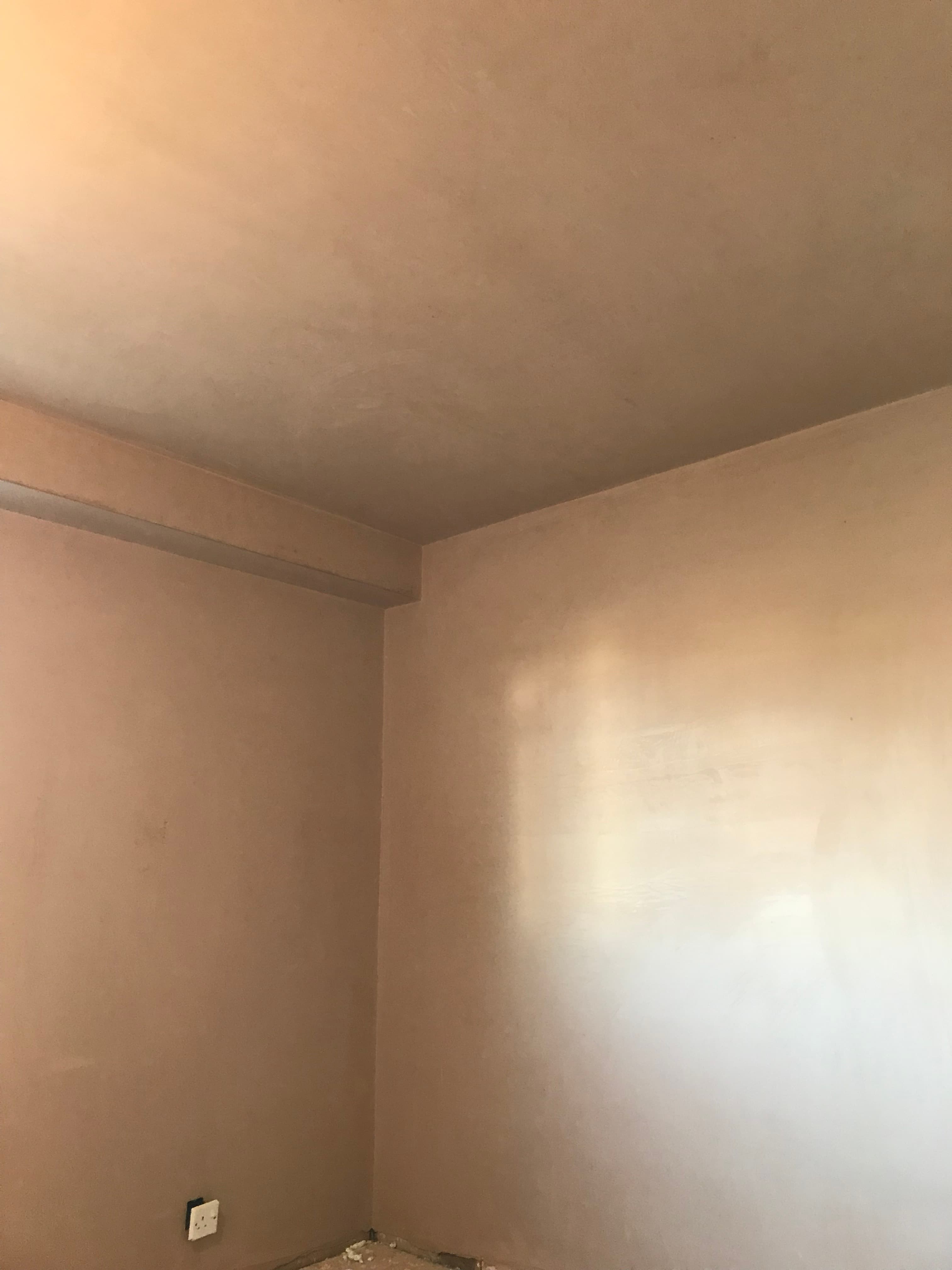 Skimming walls and ceilings - Image 22